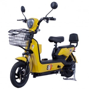 Golden Eagle high-end e-bike adult electric bicycle two-wheel electric vehicle