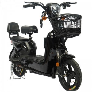 Golden Eagle high-end e-bike adult electric bicycle two-wheel electric vehicle